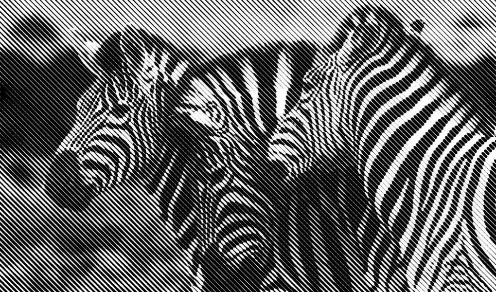 Comment une agence d’identité de marque peut transformer la perception de votre entreprise