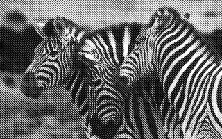 Comment une agence d’identité de marque peut transformer la perception de votre entreprise