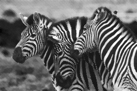 Comment une agence d’identité de marque peut transformer la perception de votre entreprise