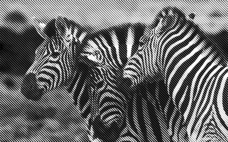 Comment une agence d’identité de marque peut transformer la perception de votre entreprise