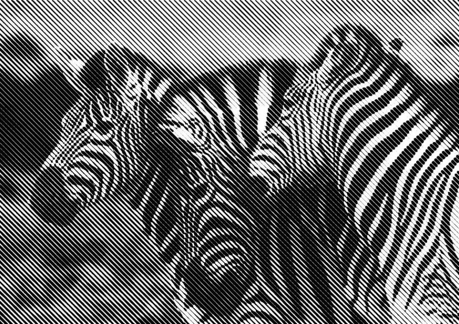 Comment une agence d’identité de marque peut transformer la perception de votre entreprise