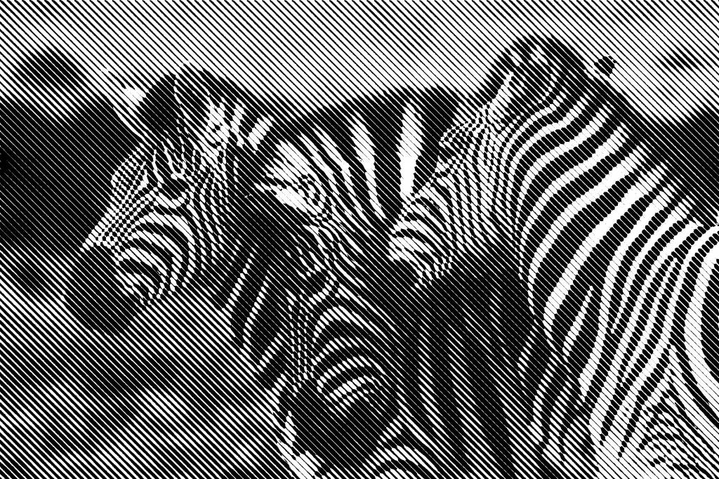 Comment une agence d’identité de marque peut transformer la perception de votre entreprise